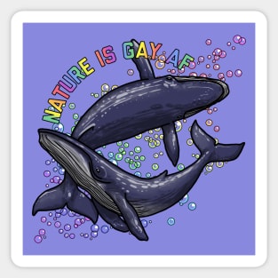 Gay Whales Sticker